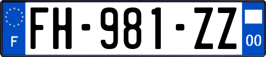 FH-981-ZZ