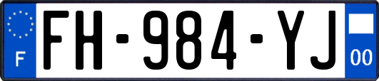 FH-984-YJ