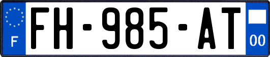 FH-985-AT