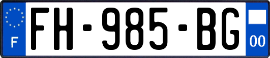 FH-985-BG