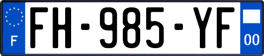 FH-985-YF