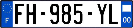 FH-985-YL