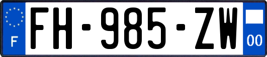 FH-985-ZW