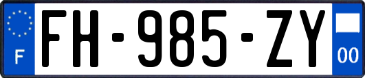 FH-985-ZY