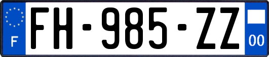 FH-985-ZZ