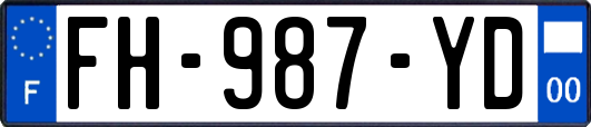 FH-987-YD