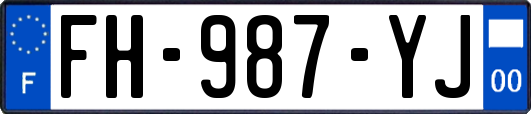 FH-987-YJ