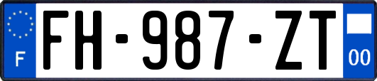 FH-987-ZT