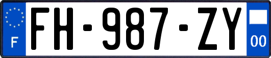 FH-987-ZY