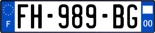 FH-989-BG