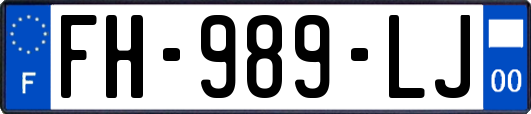FH-989-LJ