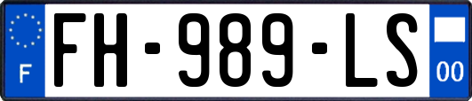 FH-989-LS