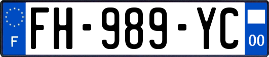 FH-989-YC