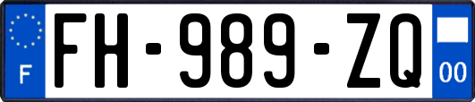 FH-989-ZQ