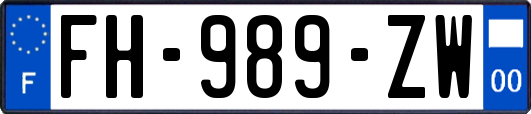 FH-989-ZW