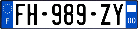 FH-989-ZY