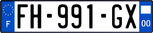 FH-991-GX