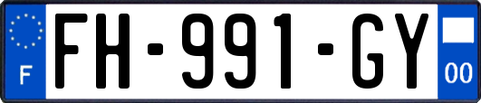 FH-991-GY
