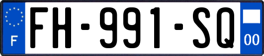 FH-991-SQ