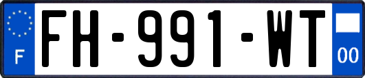 FH-991-WT