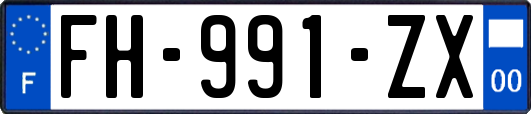 FH-991-ZX