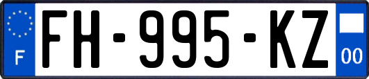 FH-995-KZ