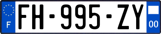 FH-995-ZY