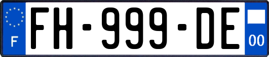 FH-999-DE