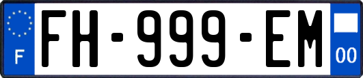 FH-999-EM