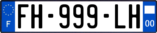 FH-999-LH