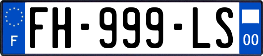 FH-999-LS