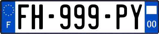 FH-999-PY