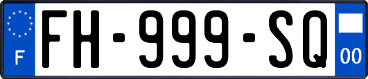 FH-999-SQ