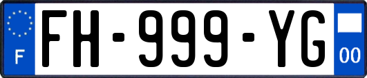FH-999-YG
