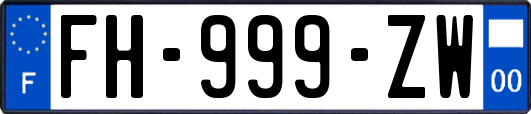 FH-999-ZW