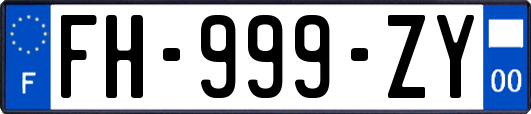 FH-999-ZY