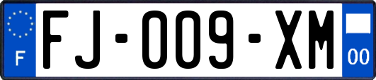 FJ-009-XM