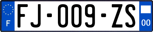 FJ-009-ZS