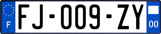 FJ-009-ZY