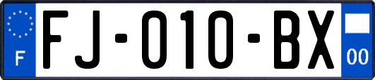 FJ-010-BX