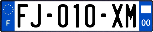 FJ-010-XM
