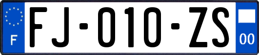 FJ-010-ZS