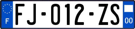 FJ-012-ZS