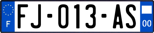 FJ-013-AS