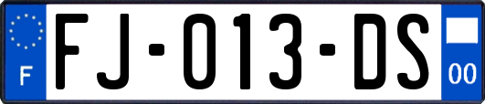 FJ-013-DS