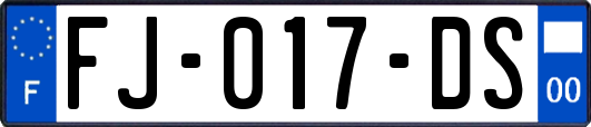 FJ-017-DS