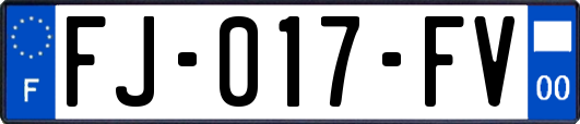 FJ-017-FV