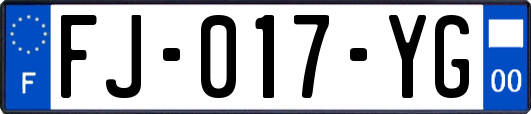 FJ-017-YG