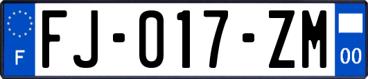 FJ-017-ZM