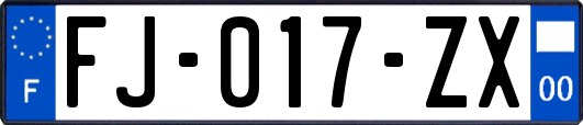 FJ-017-ZX